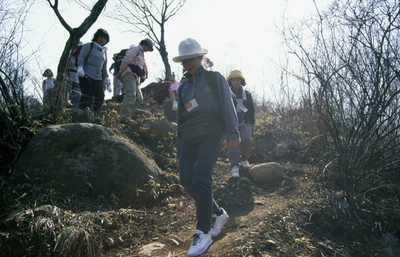 高川山